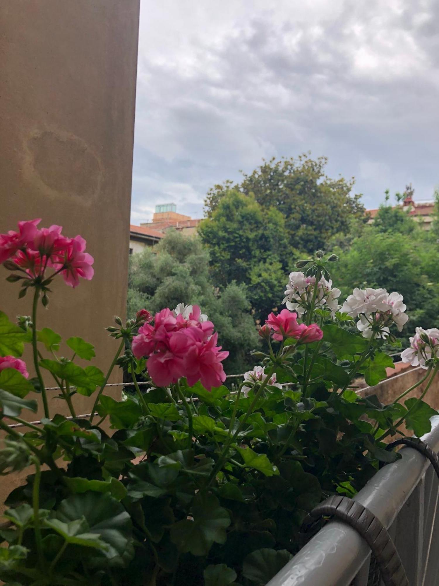 Sonnino House Appartement Pisa Buitenkant foto